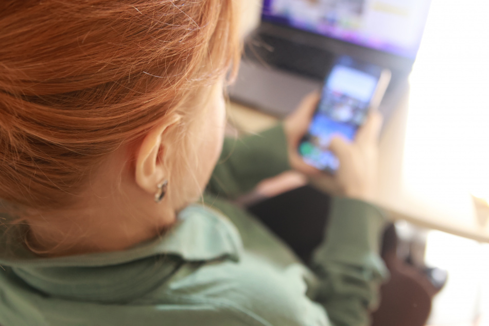 МВД предупредило о новой схеме мошенников с голосованиями